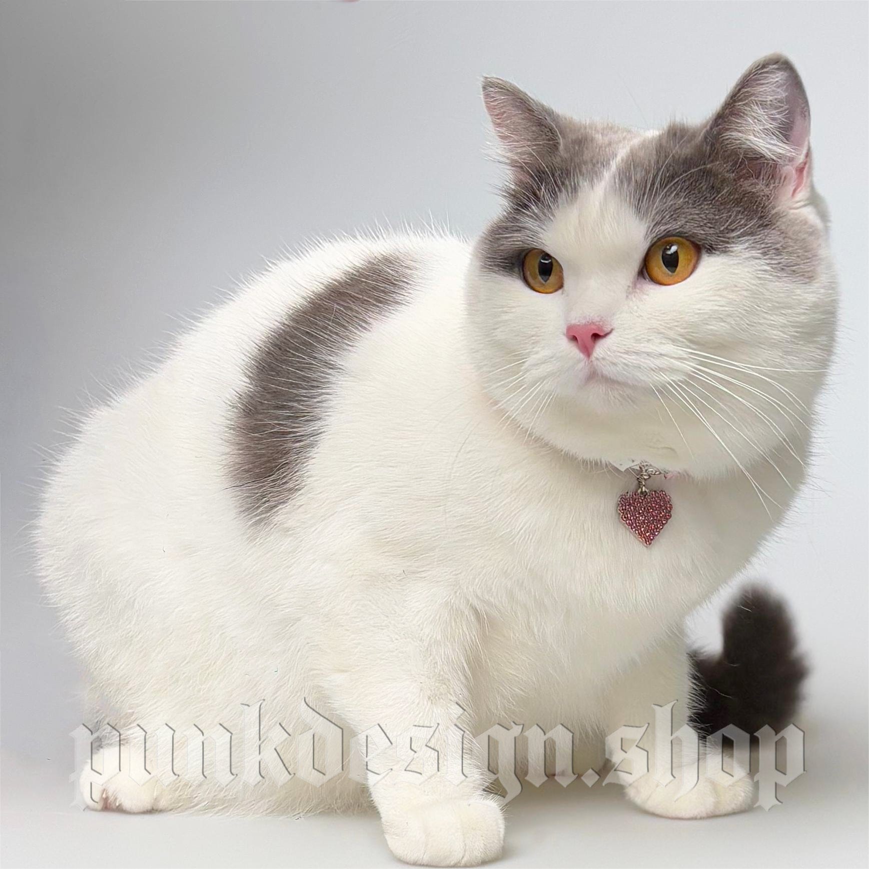 Kobine Pet's Gothic Double-layer Imitation Pearl Cat Choker