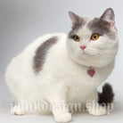 Kobine Pet's Gothic Double-layer Imitation Pearl Cat Choker