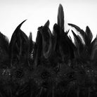 PUNK RAVE Women's Gothic Stand Collar Floral Crochet Irregular Feather Shawl Black