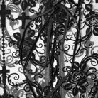 DEVIL FASHION Women's Goth Sheer Floral Lace Leggings