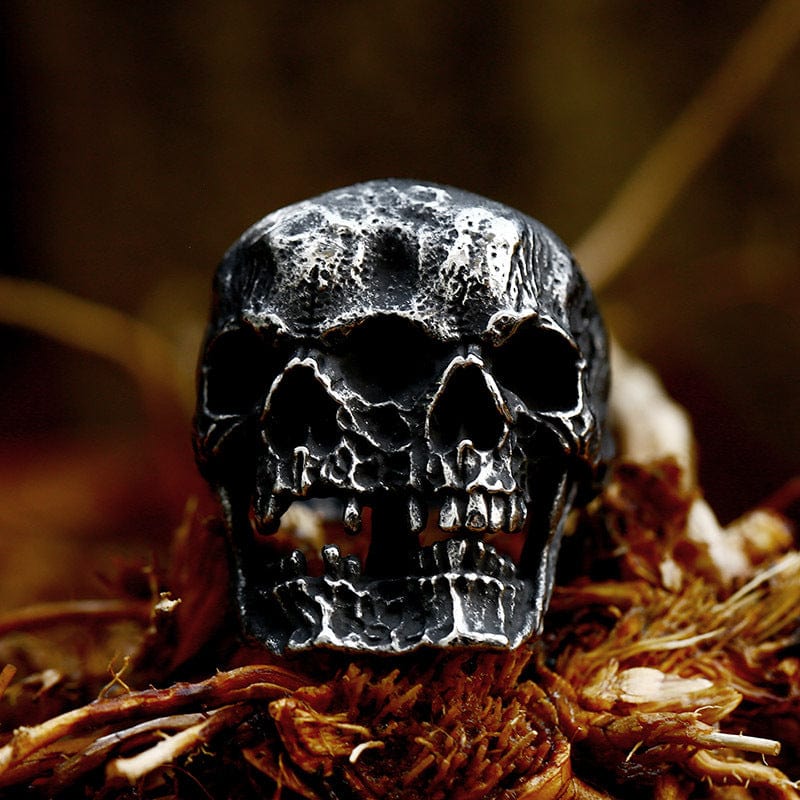 Kobine Men's Punk Double Skull Ring