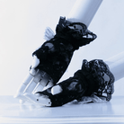 RQ-BL Vintage Cutaway Lace Gloves With Bow